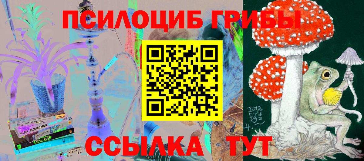 Псилоцибиновые грибы мухоморы Шахты