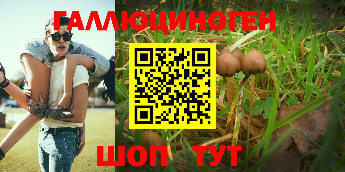 Шахты  продажа наркотиков  Вход с VPN  Псилоцибиновые грибы прущие грибы 